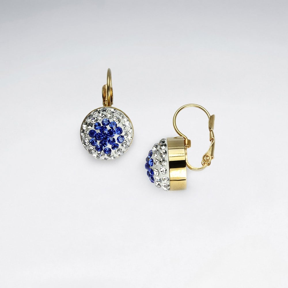 Circle Stainless Steel Domed Crystal Earrings
