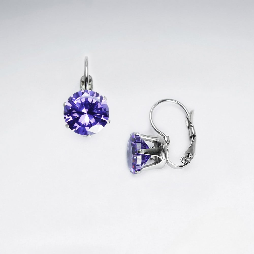 Stainless Steel Crystal Round Cut Earrings