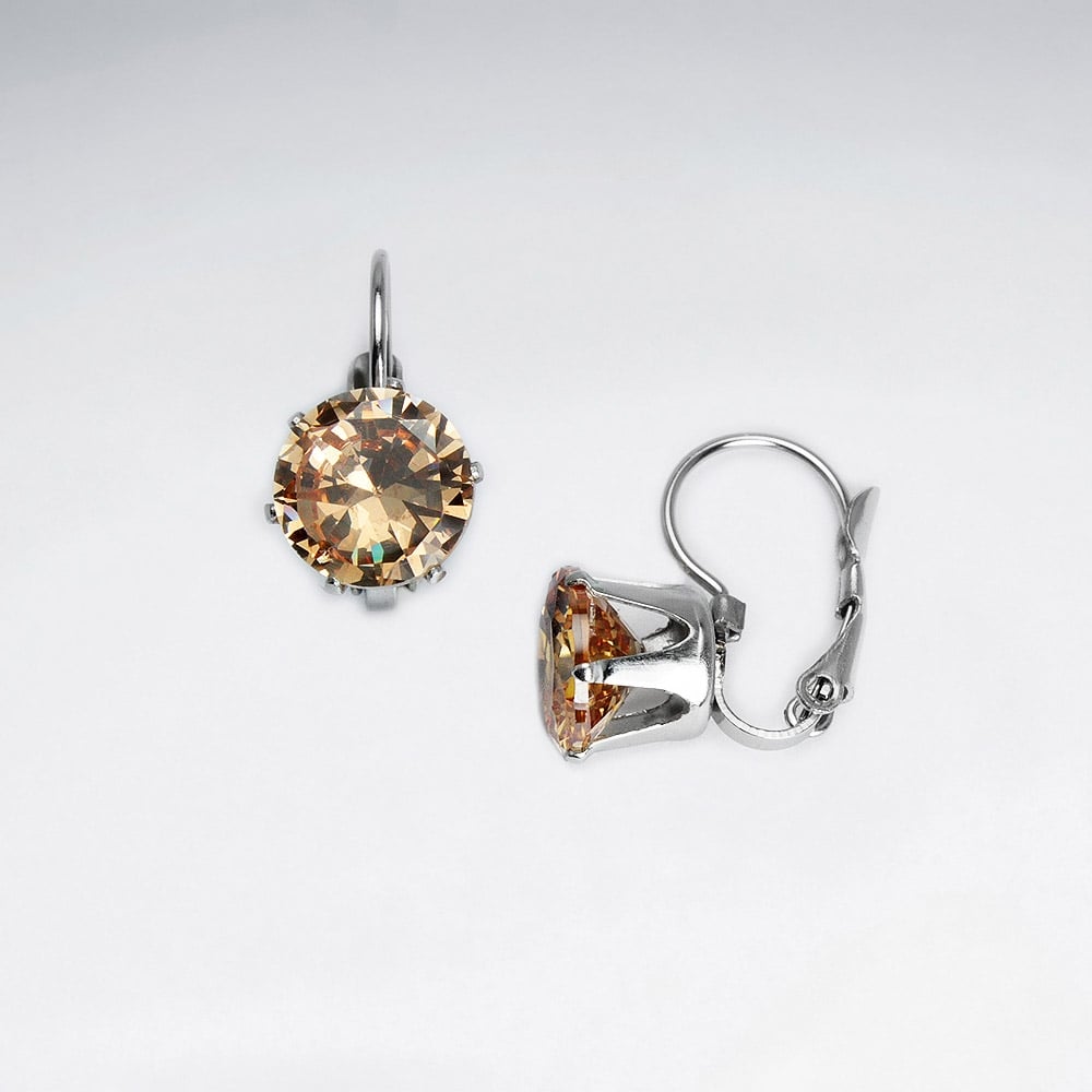 Stainless Steel Crystal Round Cut Earrings