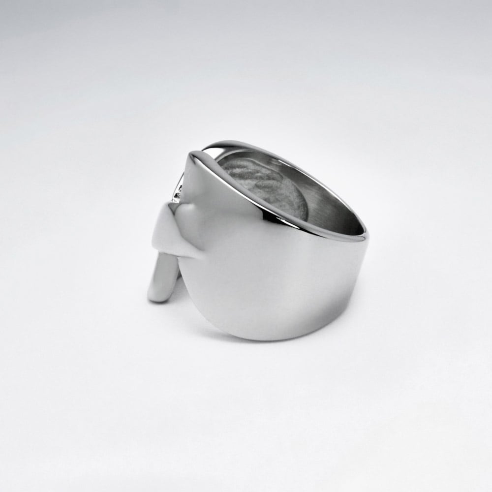 Stainless Steel Highlight Ring