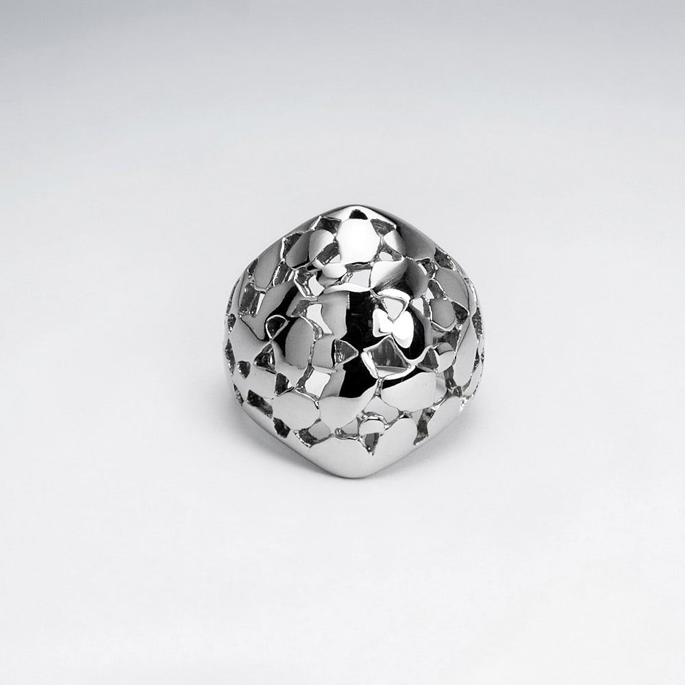 Stainless Steel Cutout Ring