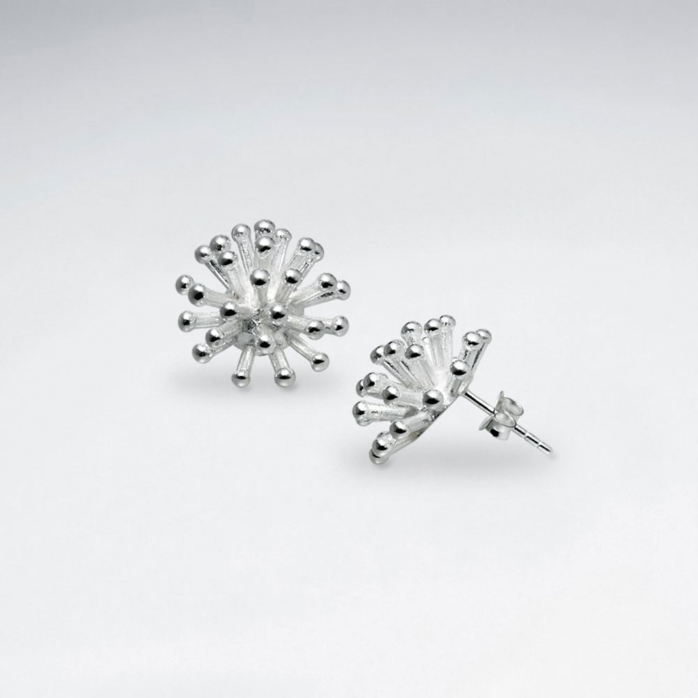 Silver Fancy Pointed Ball Design Stud Earrings