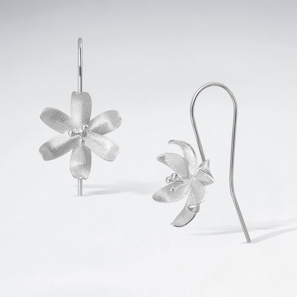 Sterling Silver 6-Point Flower Hook Earrings