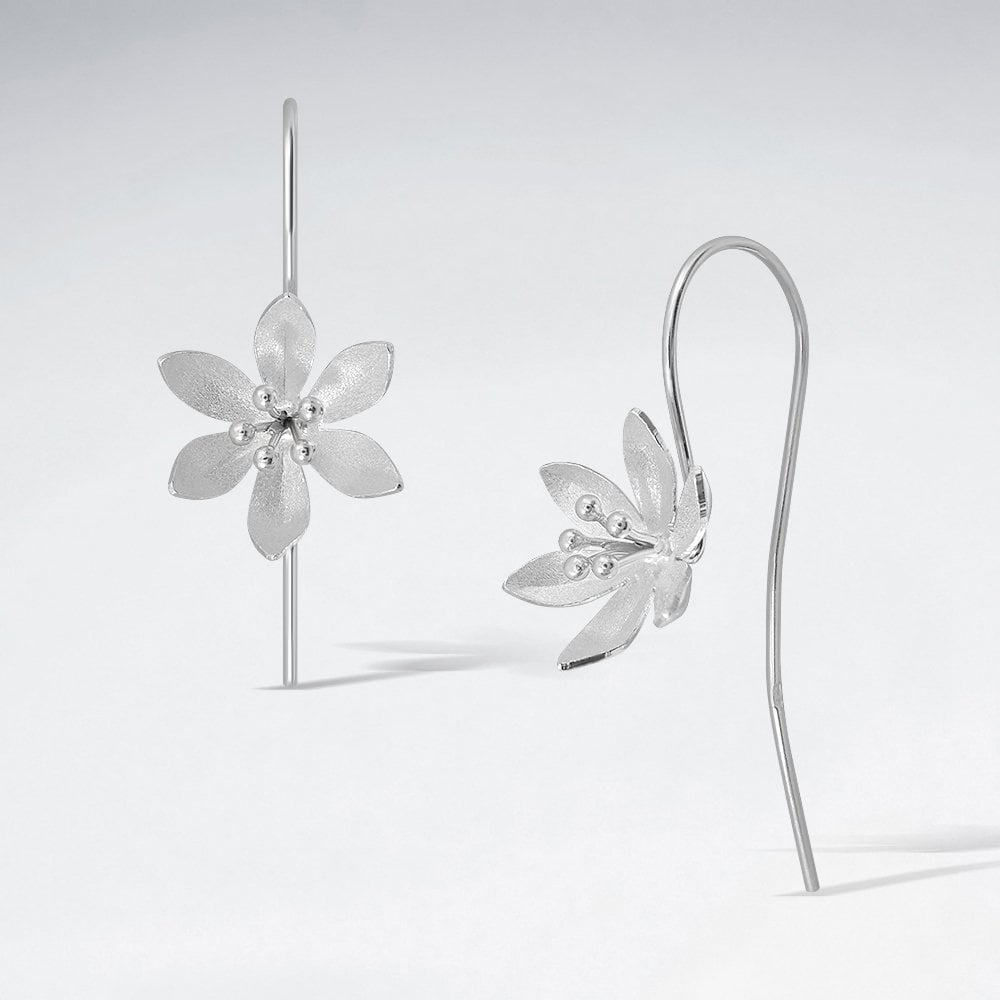Sterling Silver 6 Point Flower Hook Earrings