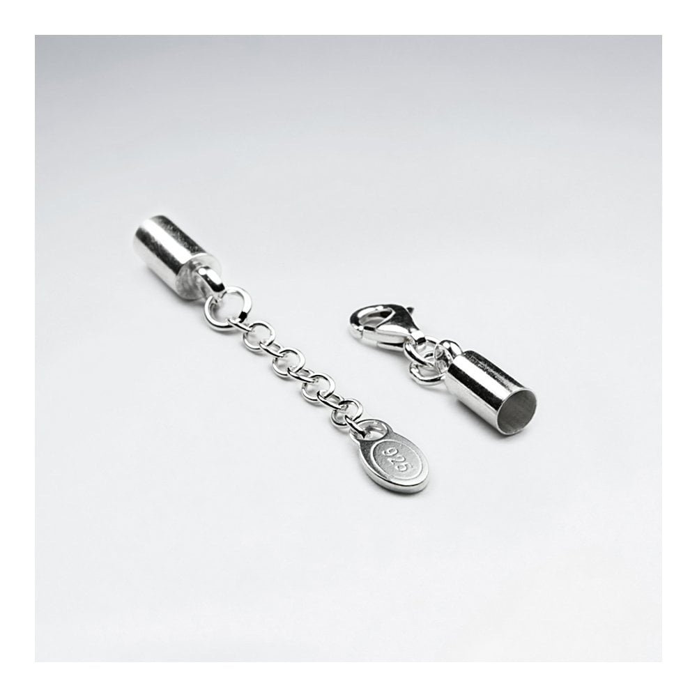 Silver Lobster Claw Hook and Eye