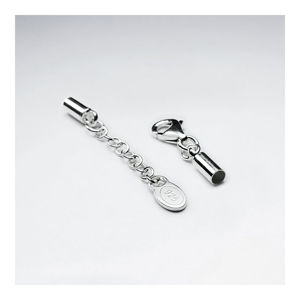 Silver Lobster Claw Hook and Eye Clasp Connectors