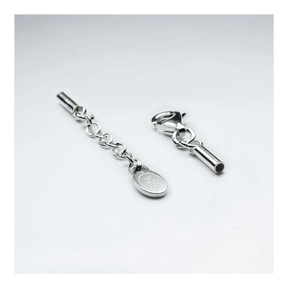 Silver Lobster Claw Clasp and Eye